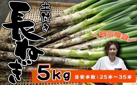 岩手県産 極楽野 土付き 長ねぎ 5kg 目安本数 25本 ～ 35本 【高橋農園】／ 長ネギ 長葱 ねぎ ネギ 葱 白ねぎ 白ネギ 白葱 新鮮 野菜 やさい 人気野菜 国産 EM栽培 産地直送 農家直送 季節限定 期間限定 人気 薬味 鍋 串焼き おすすめ