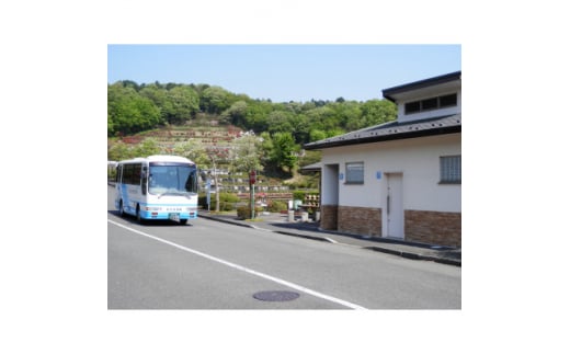 西多摩霊園　墓地購入(契約)のご利用券(300,000円分)【1515916】