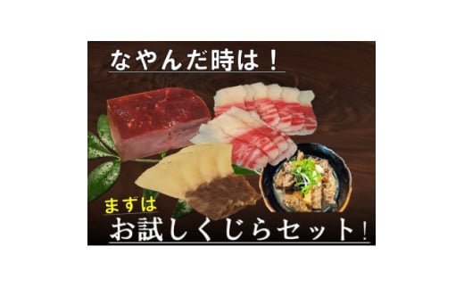 まずはお試し、くじら詰め合せ4点セット　贈り物にも!【1514824】