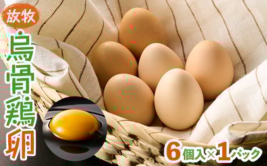 放牧烏骨鶏卵 6個入×1パック<トリゾーファーム>【1522296】