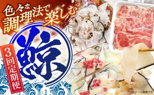 【3回定期便】調理用部位定期便（煮しめ鯨・炙り用脂筋肉スライス・特上ゆかけ鯨（畝））【中島(鯨)商店】[OBR018]