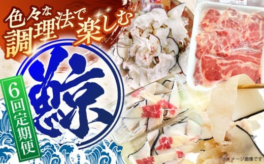 【6回定期便】調理用部位定期便（煮しめ鯨・炙り用脂筋肉スライス・特上ゆかけ鯨（畝））【中島(鯨)商店】[OBR019]