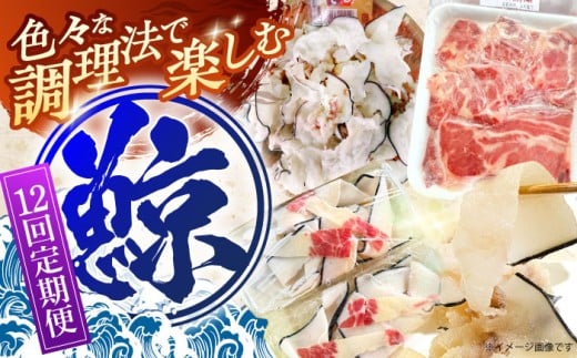 【12回定期便】調理用部位定期便（煮しめ鯨・炙り用脂筋肉スライス・特上ゆかけ鯨（畝））【中島(鯨)商店】[OBR020]