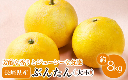 【数量限定】ぶんたん 大玉 約8kg【長崎ぶんたんの会 】[OAF001] / ぶんたん 柑橘 完熟 贈答 ギフト ミカン 柑橘 果物  フルーツ 文旦 柑橘 ブンタン かんきつ 柑橘類 カンキツ 蜜柑 みかん