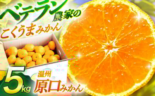 【数量限定】温州高糖度 原口みかん 約5kg【長崎ぶんたんの会】[OAF004] / みかん ミカン 柑橘 みかん 原口みかん 人気みかん 高糖度みかん ミカン 柑橘類 みかん 温州みかん