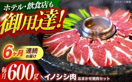 【6回定期便】ジビエ 天然イノシシ肉 おまかせ焼肉セット 600g （ロース・モモ・バラ）【照本食肉加工所】[OAJ029] / 猪 猪肉 いのしし肉 イノシシ イノシシ肉 ジビエ いのしし 長崎県猪 川棚町産猪 ぼたん鍋用いのしし 九州産イノシシ じびえ ジビエ ジビエ肉