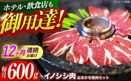 【12回定期便】ジビエ 天然イノシシ肉 おまかせ焼肉セット 600g （ロース・モモ・バラ）【照本食肉加工所】[OAJ030] / 猪 猪肉 いのしし肉 イノシシ イノシシ肉 ジビエ いのしし 長崎県猪 川棚町産猪 ぼたん鍋用いのしし 九州産イノシシ じびえ ジビエ ジビエ肉