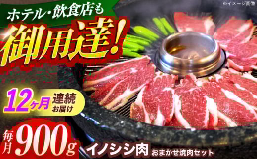 【12回定期便】ジビエ 天然イノシシ肉 おまかせ焼肉セット 900g （ロース・モモ・バラ）【照本食肉加工所】[OAJ033] / 猪 猪肉 いのしし肉 イノシシ イノシシ肉 ジビエ いのしし 長崎県猪 川棚町産猪 ぼたん鍋用いのしし 九州産イノシシ じびえ ジビエ ジビエ肉