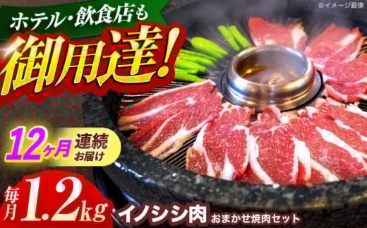 【12回定期便】ジビエ 天然イノシシ肉 おまかせ焼肉セット 1.2kg （ロース・モモ・バラ）【照本食肉加工所】[OAJ036] / 猪 猪肉 いのしし肉 イノシシ イノシシ肉 ジビエ いのしし 長崎県猪 川棚町産猪 ぼたん鍋用いのしし 九州産イノシシ じびえ ジビエ ジビエ肉