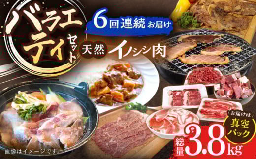 【6回定期便】ジビエ 天然イノシシ肉 バラエティ総量3.8kg【照本食肉加工所】[OAJ073] / 猪 猪肉 いのしし肉 イノシシ イノシシ肉 ジビエ いのしし 長崎県猪 川棚町産猪 ぼたん鍋用いのしし 九州産イノシシ じびえ ジビエ ジビエ肉