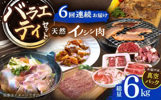 【6回定期便】ジビエ 天然イノシシ肉 バラエティ総量6.0kg【照本食肉加工所】[OAJ075] / 猪 猪肉 いのしし肉 イノシシ イノシシ肉 ジビエ いのしし 長崎県猪 川棚町産猪 ぼたん鍋用いのしし 九州産イノシシ じびえ ジビエ ジビエ肉