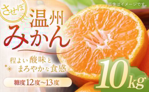 させぼ温州みかん 10kg【おだ農園】[OAG007] / みかん 蜜柑 ミカン 温州ミカン 温州 させぼみかん みかん 佐世保 温州みかん 冬みかん こたつみかん ミカン みかん