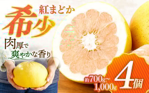 ぷりぷりで爽やかな香り！ 紅まどか 4個入り【おおたに農園】[OBP001] / 紅まどか 柑橘 かんきつ 文旦 ボンタン ぶんたん ブンタン 柑橘類 みかん ミカン 蜜柑 さっぱり べにまどか ベニマドカ ブンタン