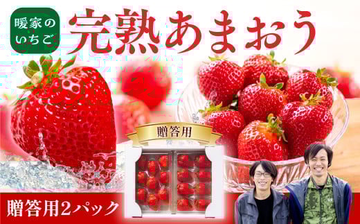 暖家のいちご 完熟あまおう 贈答用2パック【1月上旬以降順次発送】AB001