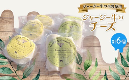 ジャージー牛のチーズ 2種セット【1576776】