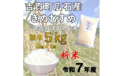 令和7年産　吉賀町広石産きぬむすめ　清流高津川のお米　精米5kg【1679139】