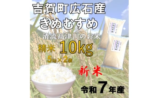 令和7年産　吉賀町広石産きぬむすめ　清流高津川のお米　精米10kg【1679151】