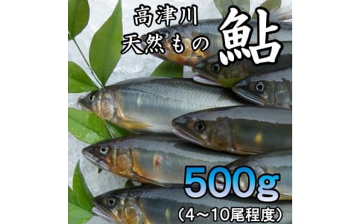 高津川天然あゆ冷凍 500g(吉賀町)【1259201】