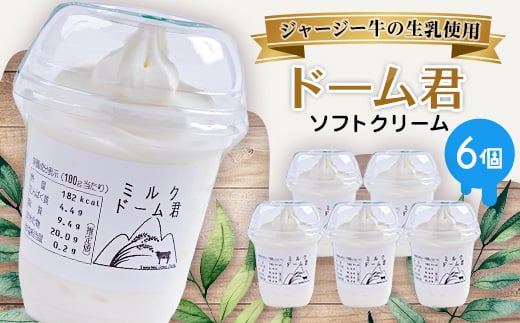 ジャージー牛の生乳を使用したソフトクリーム ドーム君 6個入り【1260021】