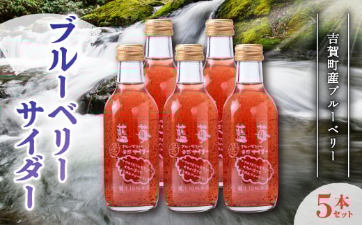 ブルーベリーサイダー 5本セット【1397076】