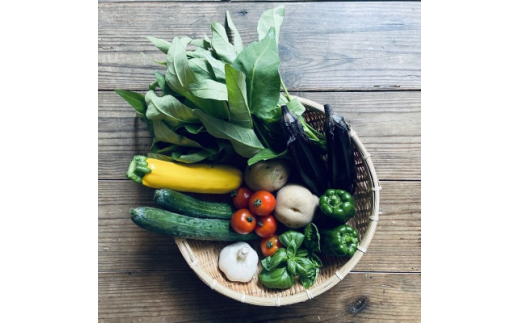＜畑から直送＞吉賀町かわの農園の旬の野菜詰め合わせセット【1422364】