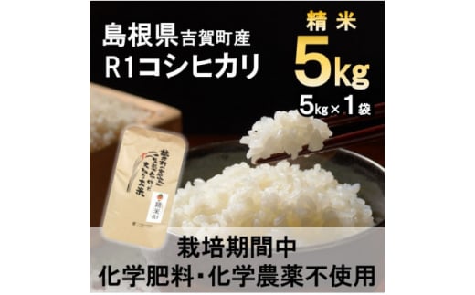 ＜栽培期間中化学肥料・化学農薬不使用＞令和7年産R1米コシヒカリ5kg(精米)【1448692】