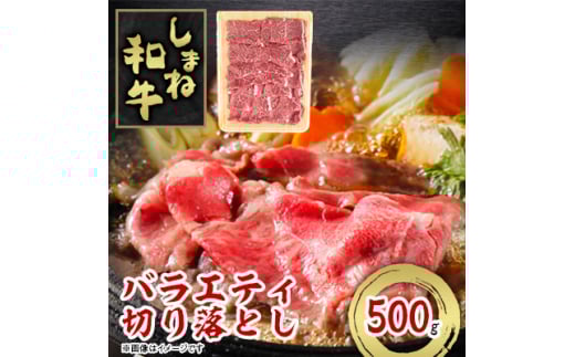 しまね和牛 バラエティ切り落とし 500g【1463373】