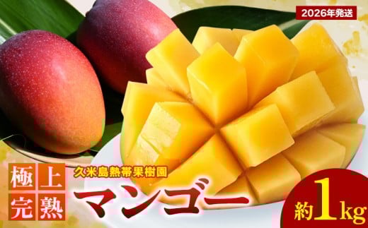 【2026年発送】久米島熱帯果樹園 極上完熟マンゴー 約1kg(2~3玉) アーウィン アップルマンゴー マンゴー トロピカル フルーツ 果物 南国 沖縄 久米島 ふるさと納税 農園直送 甘い ジューシー 濃厚 完熟 糖度が高い とろける 特選品 ジュース スムージー