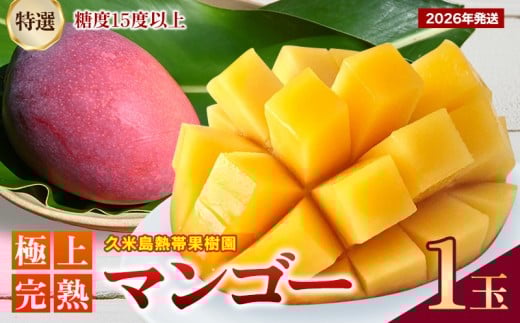 【2026年発送】久米島熱帯果樹園「特選」極上完熟マンゴー1玉(450g以上)糖度15度以上 アーウィン アップルマンゴー マンゴー トロピカル フルーツ 果物 南国 沖縄 久米島 ふるさと納税 農園直送 甘い ジューシー 濃厚 完熟 糖度が高い とろける 特選品 ジュース スムージー