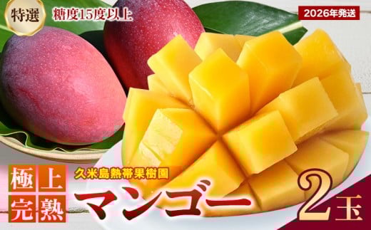 【2026年発送】久米島熱帯果樹園「特選」極上完熟マンゴー2玉(450g以上×2玉)糖度15度以上 アーウィン アップルマンゴー マンゴー トロピカル フルーツ 果物 南国 沖縄 久米島 ふるさと納税 農園直送 甘い ジューシー 濃厚 完熟 糖度が高い とろける 特選品 ジュース スムージー