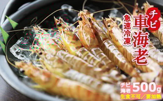【久米総合開発】急速冷凍チビ車海老：500g（要加熱） 海の幸 海鮮 車えび クルマエビ くるまえび 高級 食材 生食 刺身 鮮度抜群 プリプリ 甘み 旨味 ギフト グルメ お祝い 贈答品 贈り物 お取り寄せ 土産