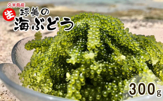 球美の”生”海ぶどう(100g×3個)