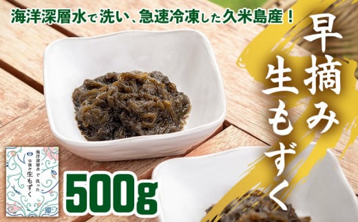海洋深層水で洗い急速冷凍した久米島産!早摘み生もずく 500g もずく モズク 海藻 早摘み もずく酢 味噌汁 天ぷら 食物繊維 フコイダン ビタミン ミネラル アミノ酸 稀少 ぬめり コシ 海洋深層水 急速冷凍 新鮮 沖縄 久米島