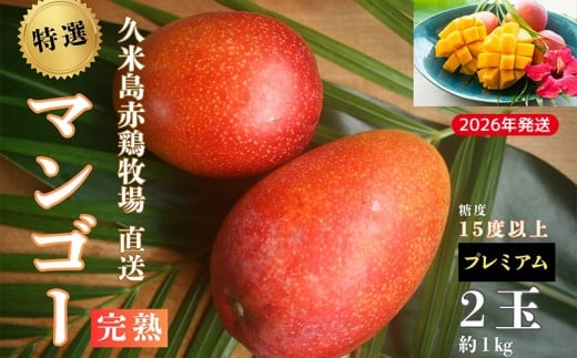 【2026年発送】久米島赤鶏牧場 直送!糖度15度以上「プレミアム」完熟マンゴー 2玉(約1kg) マンゴー 完熟 アップルマンゴー アーウィン 糖度15度 特選品 プレミアム 贈答 贈り物 甘い 濃厚 循環型農業 減農薬栽培 芳醇 爽やか 南国フルーツ ギフト 沖縄 久米島 南の島