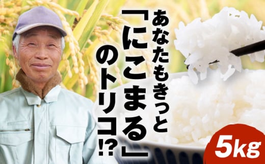 【先行予約】【10月下旬頃から順次発送】 令和7年産新米 にこまる 精米 5kg 愛媛県大洲市/重臣農園 お米 こめ 精米 白米 ごはん [AGDM001]