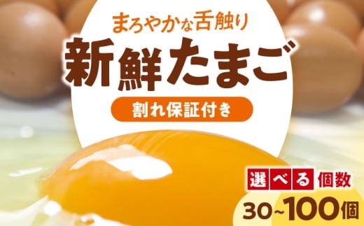 たまご 選べる内容量！ 平飼い 海草たまご 割れ保証あり 卵 平飼い 鶏卵 海藻育ち 濃厚 旨味 TKG 卵かけごはん 玉子焼き 選べる 30個 50個 80個 100個 割れ補償 和田養鶏場 愛媛県大洲市/和田養鶏場 [AGDQ001] 卵 定期便 卵かけご飯 たまご タマゴ 鶏卵 卵料理 玉子 新鮮 愛媛県産 大洲市産 産地直送 おすすめ 人気 お取り寄せ 送料無料 贈答 ギフト