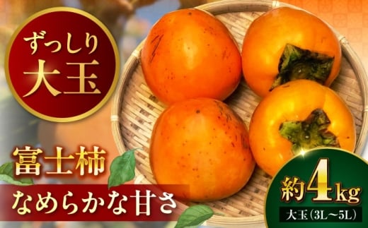 【先行予約】富士柿 4kg 愛媛県大洲市/有限会社西山青果 柿 かき 果物 ギフト フルーツ たねなし[AGAR015] 柿 かき カキ 果物 くだもの フルーツ 愛媛県産 大洲市産 産地直送 おすすめ 人気 お取り寄せ 送料無料 贈答 ギフト