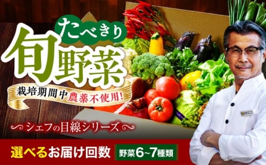 [シェフの目線][単品]野菜 6から7種 単身 二人暮らし用 愛媛県大洲市/有限会社ヒロファミリーフーズ[AGBX043] 野菜 定期便 野菜セット やさい 野菜定期便 やさいセット 新鮮野菜 愛媛県産 大洲市産 産地直送 おすすめ 人気 お取り寄せ 送料無料 贈答 ギフト