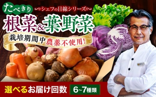 [単品][シェフの目線] 根菜×葉野菜 6から7種 単身 二人暮らし用 愛媛県大洲市/有限会社ヒロファミリーフーズ[AGBX051] 野菜 定期便 野菜セット やさい 野菜定期便 やさいセット 新鮮野菜 愛媛県産 大洲市産 産地直送 おすすめ 人気 お取り寄せ 送料無料 贈答 ギフト