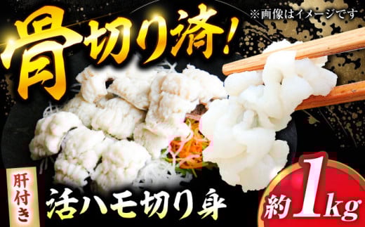 【先行予約】【2026年5月上旬から順次発送】活きハモの骨切り 3人前（約1kg） 愛媛県大洲市/天然活魚 濱屋 [AGBP004] 先行予約 おいしい  はも 鱧 蒲焼 湯引き 魚介類 愛媛県産 大洲市産 産地直送 おすすめ 人気 お取り寄せ 送料無料 贈答 ギフト