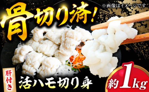 鱧【先行予約】【2026年5月上旬から順次発送】活きハモの骨切り 3人前（約1kg） 愛媛県大洲市/天然活魚 濱屋 [AGBP004]おいしい 美味しい はも 鱧 肝 蒲焼 湯引き 蒲焼 天ぷら 唐揚げ からあげ 塩焼き しゃぶしゃぶ 鍋料理 魚料理 おつまみ 酒の肴 便利 海鮮 旬 魚介類 海の幸 愛媛県産 大洲市産 産地直送 おすすめ 人気 お取り寄せ 送料無料 和食 日本食