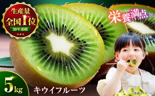 【11月以降順次発送】 国産 キウイ フルーツ 約 5kg キューイ 果物 くだもの きうい キウィ愛媛県大洲市/沢井青果[AGBN002] キウイ キウイフルーツ 果物 くだもの フルーツ 愛媛県産 大洲市産 産地直送 おすすめ 人気 お取り寄せ 送料無料 贈答 ギフト