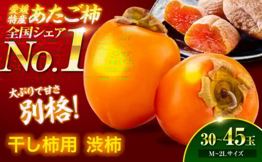 [先行予約][11月上旬より順次発送] 手作り干し柿用渋柿 あたご柿 10kg(約30玉〜45玉) M~2Lサイズ 愛媛県大洲市/沢井青果有限会社 [AGBN022] 果物 フルーツ 柿 干し柿 あたご柿 かき カキ くだもの