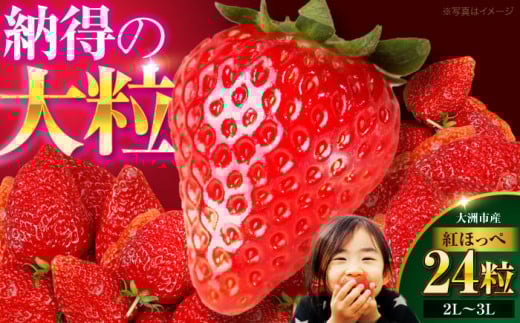 【先行予約】【2026年1月上旬～から順次発送】自分へのご褒美に！大洲の厳選高級いちご「紅ほっぺ」×24粒 愛媛県大洲市/有限会社西山青果 [AGAR001] 果物 くだもの フルーツ 野菜 やさい いちご イチゴ 苺愛 媛県産 大洲市産 産地直送 おすすめ 人気 お取り寄せ 送料無料 贈答 ギフト