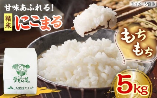 【11月中旬から順次発送】にこまる（ 精米 ） 5kg 愛媛県大洲市/たいき産直市愛たい菜 [AGAP005] こめ おこめ 米 お米 精米白米5kg にこまる 野菜 やさい 新鮮 愛媛県産 大洲市産 産地直送 おすすめ 人気 お取り寄せ 送料無料 贈答 ギフト