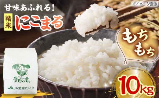 【11月中旬から順次発送】にこまる（ 精米 ） 10kg 愛媛県大洲市/たいき産直市愛たい菜 [AGAP006] こめ おこめ 米 お米 精米白米10kg にこまる 野菜 やさい 新鮮 愛媛県産 大洲市産 産地直送 おすすめ 人気 お取り寄せ 送料無料 贈答 ギフト