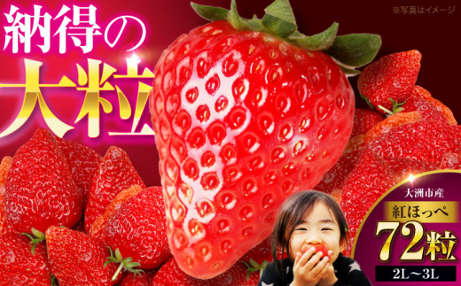 いちご 紅ほっぺ 72粒 （24粒×3箱）【先行予約】【2026年1月上旬〜から順次発送】 愛媛県大洲市/有限会社西山青果[AGAR003] 果物 くだもの フルーツ 野菜 やさい いちご イチゴ 苺愛 媛県産 大洲市産 産地直送 おすすめ 人気 お取り寄せ 送料無料 贈答 ギフト