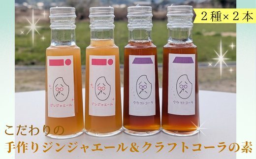 こだわりの手作りジンジャエール&クラフトコーラの素 各2本セット ah-14