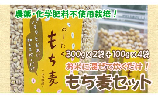国産もち麦300g2袋 ＆ 100g4袋 d10-21