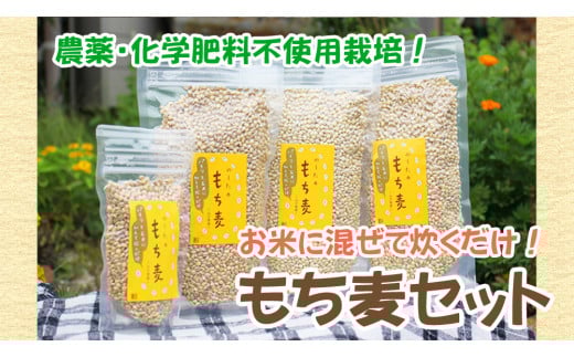 国産もち麦300g 3袋 ＆ 100g 1袋 d10-22